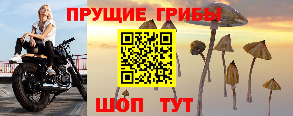 Псилоцибиновые грибы мицелий  Вход с VPN  Курганинск 