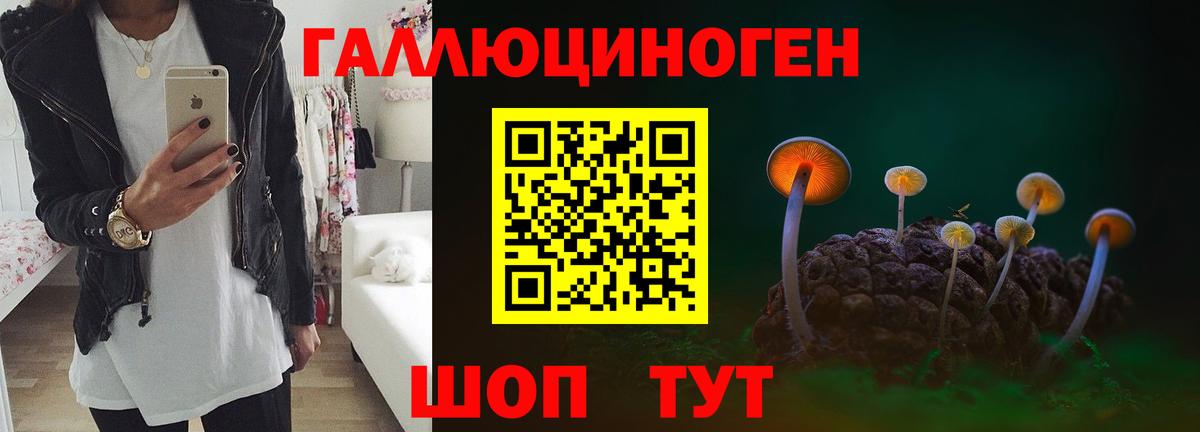 Псилоцибиновые грибы GOLDEN TEACHER Курганинск